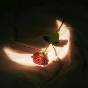 女人张开腿涩涩㊙️
